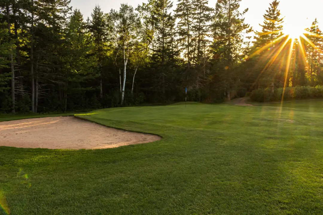 Forest Hills Disc & Golf Course