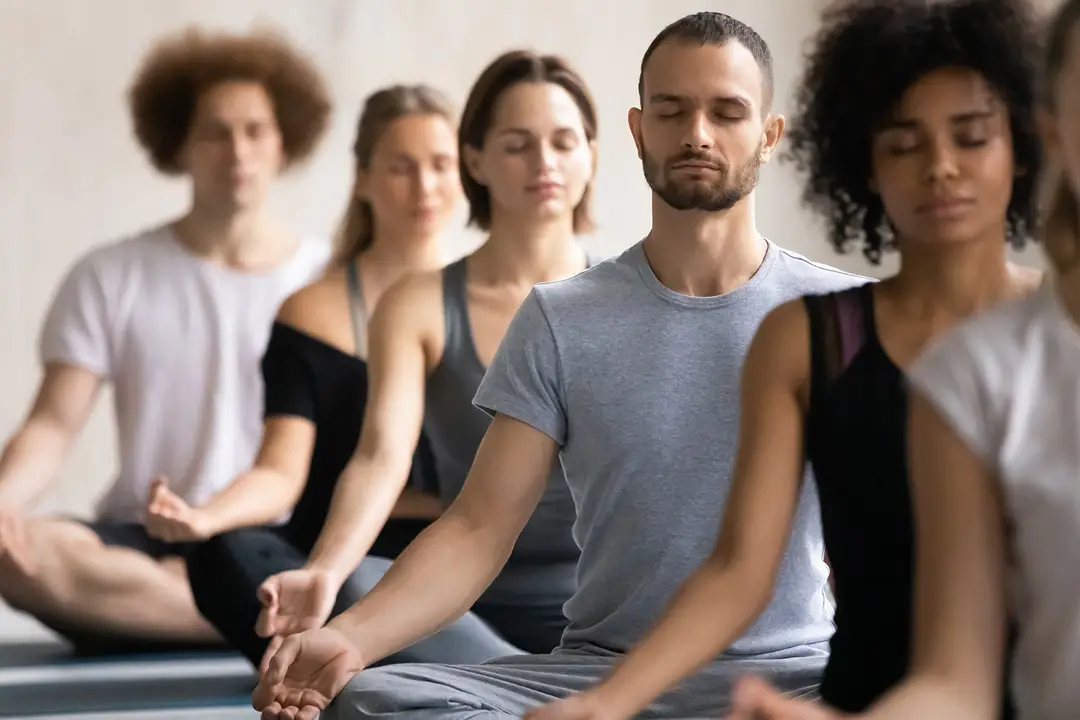 Vitalogy Yoga Studio