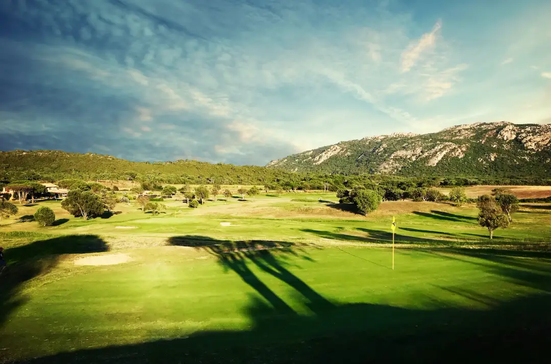School Golf