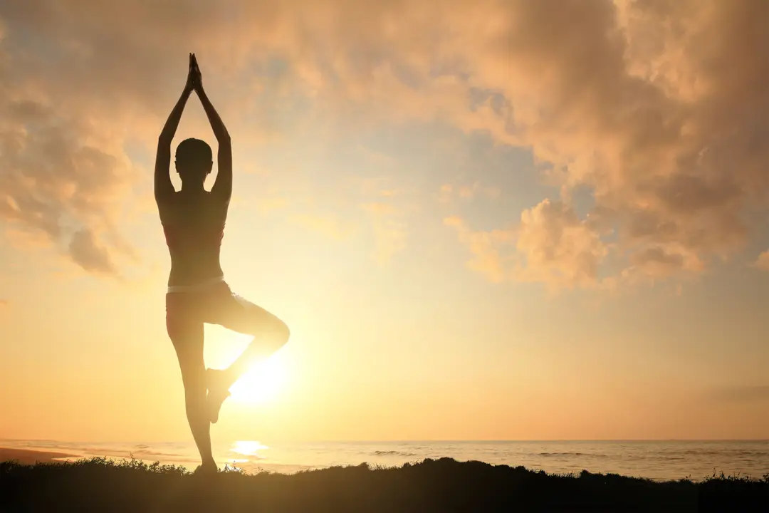Yogishop