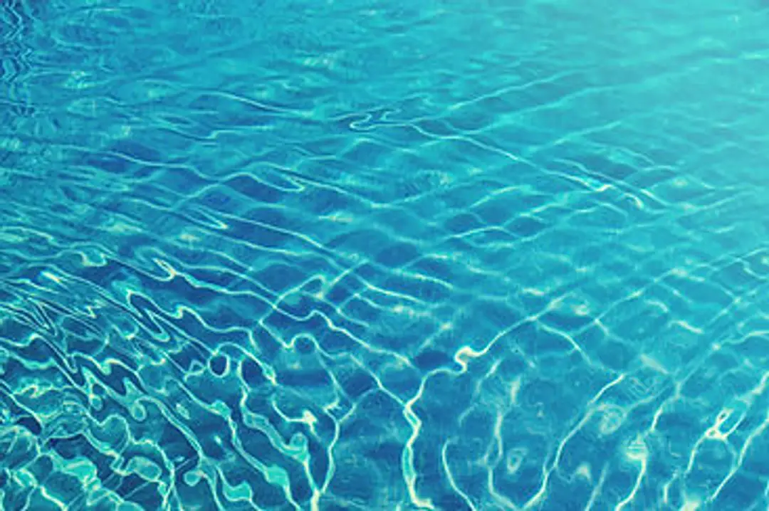 Janet Barber Aquatics - Office
