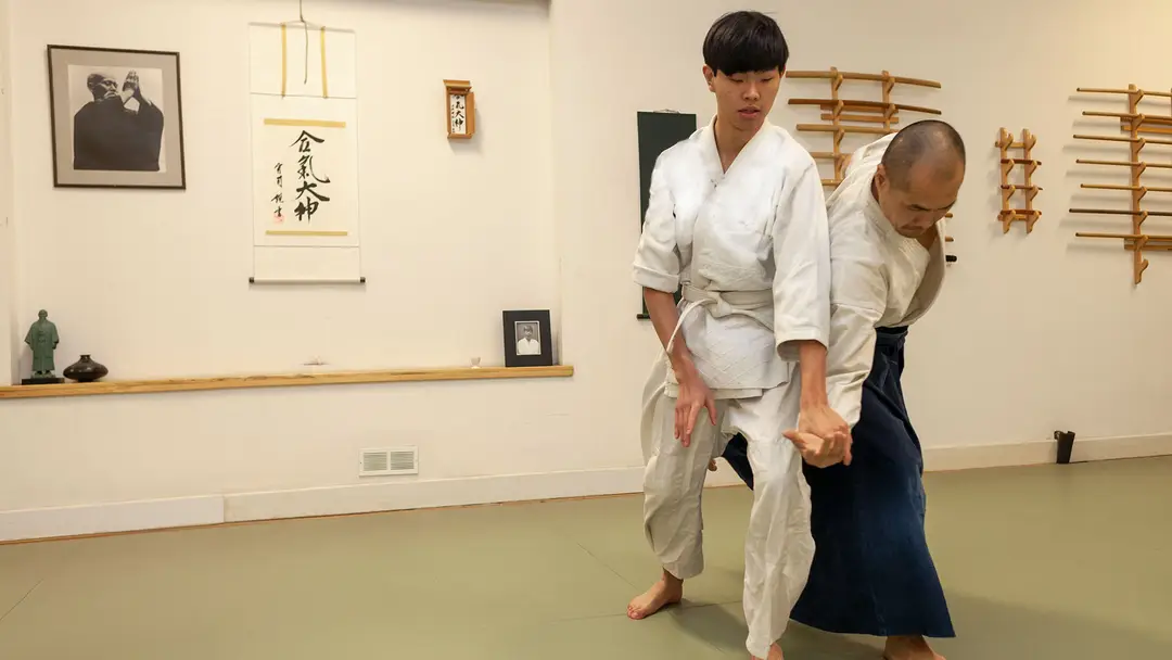Aikido Tendokai