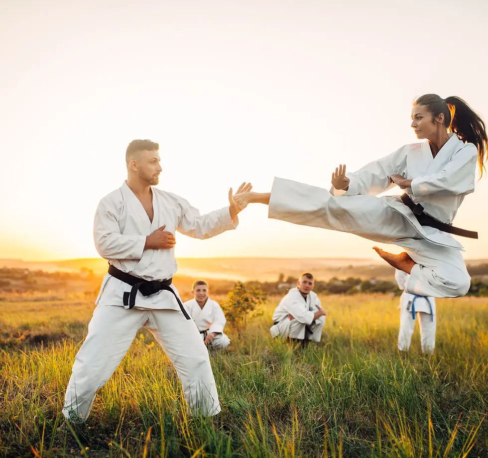 Asl Karate Do