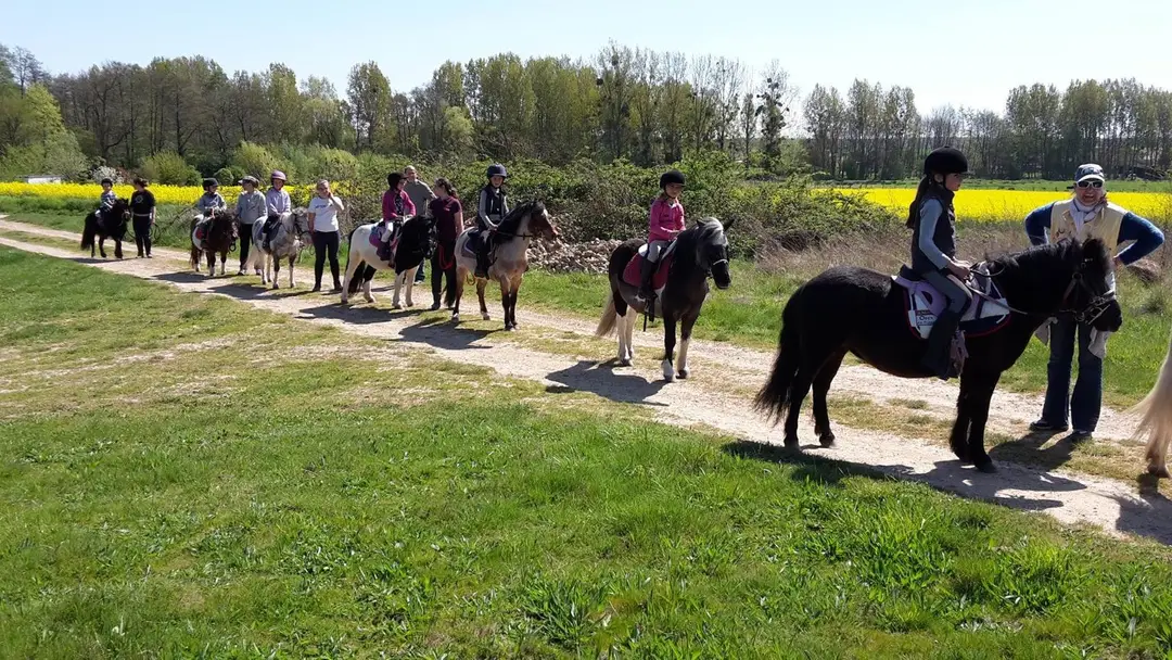 Poney-Club des Crins Fleuris