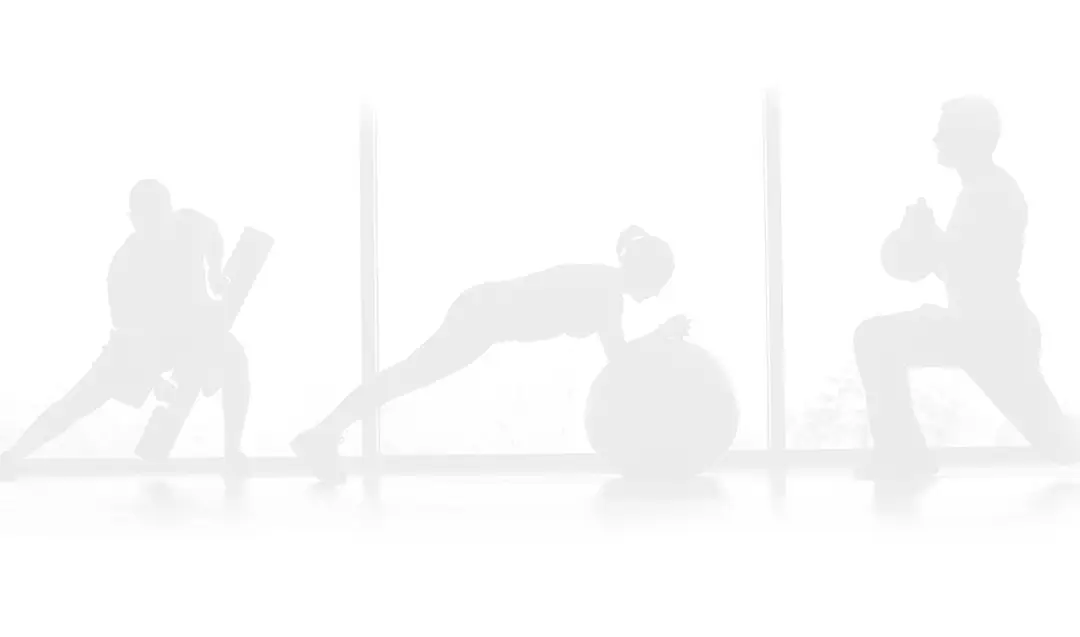 Body Revolution