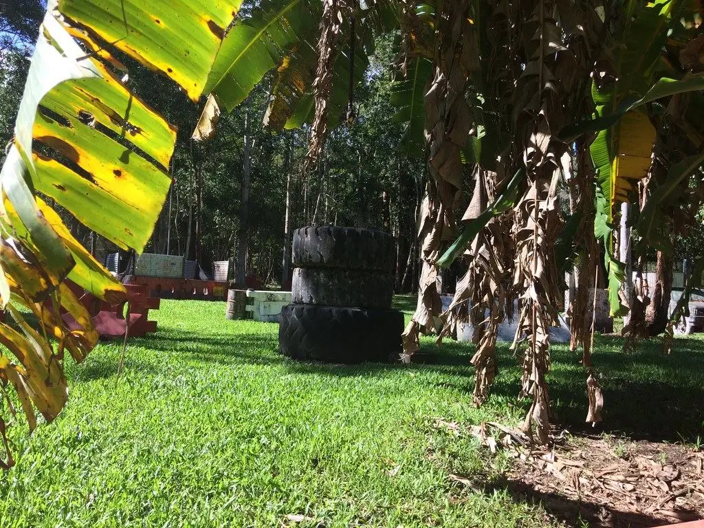 Odyssey Paintball