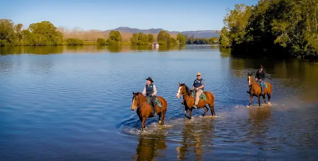 Hastings River Horse Riding