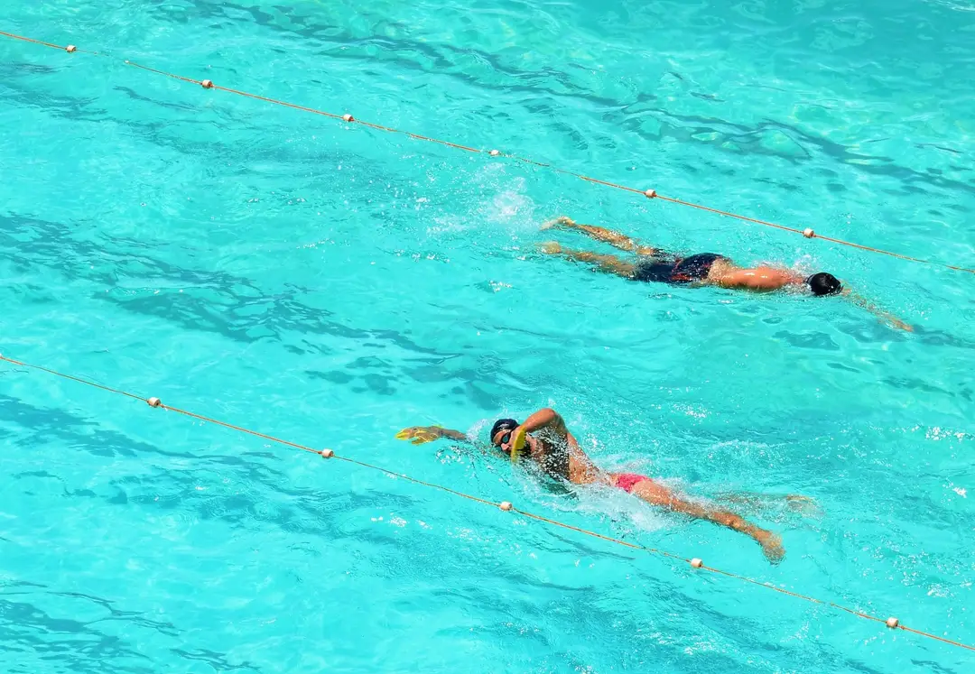 Harrogate District Swimming Club