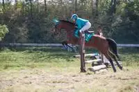 Ecole d'équitation des Rives de Meurthe
