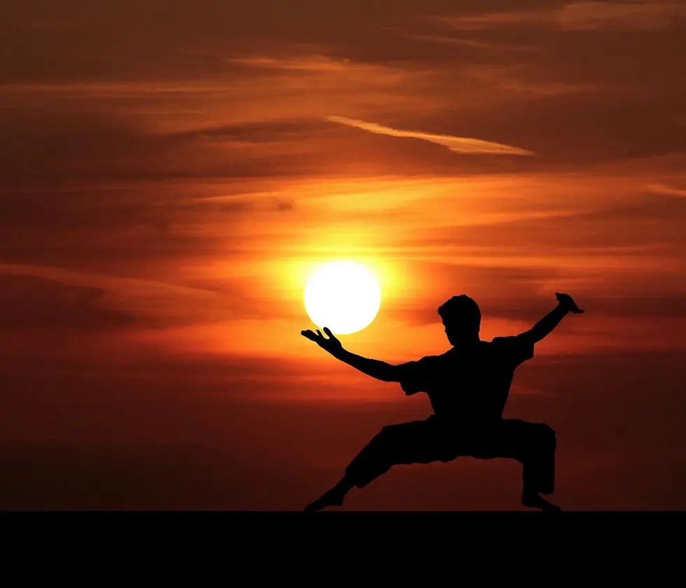 Animal Spirit Martial Arts Academy
