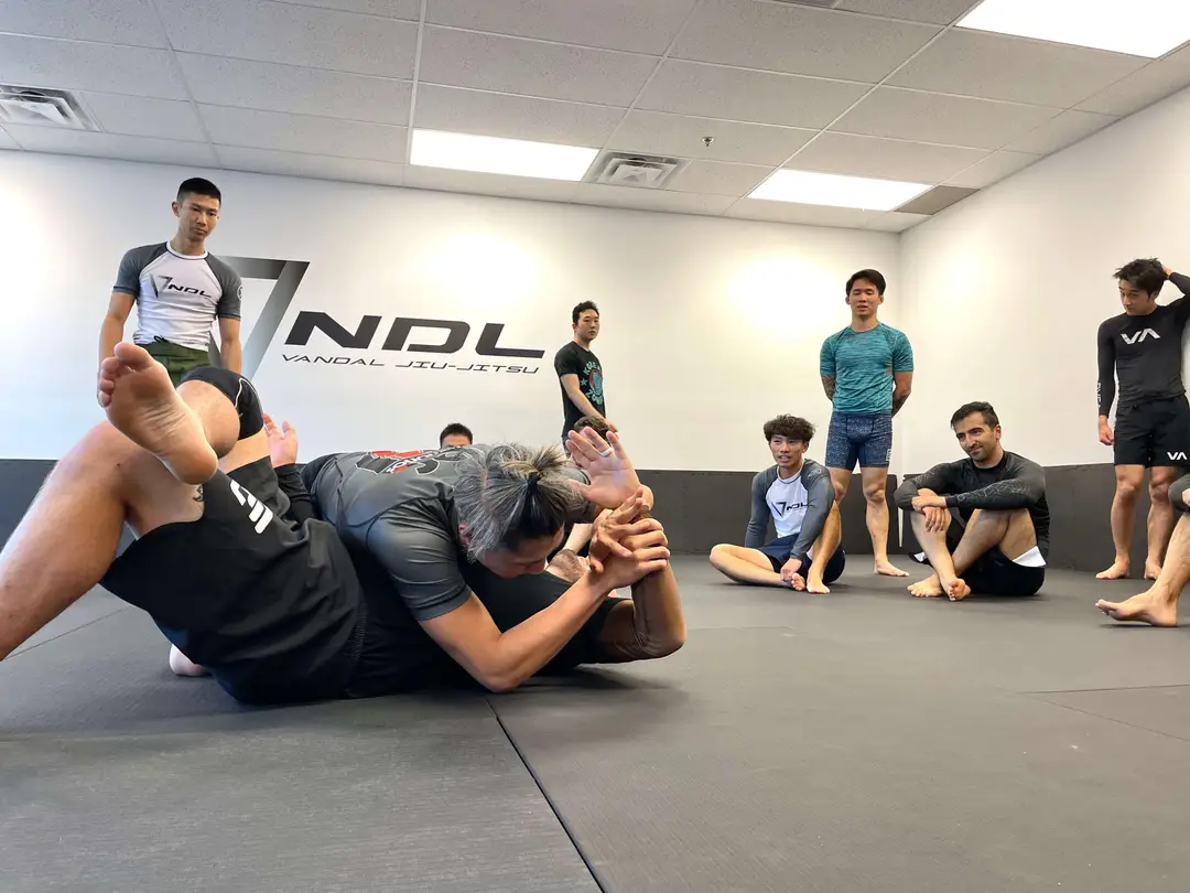 VNDL Jiu-Jitsu