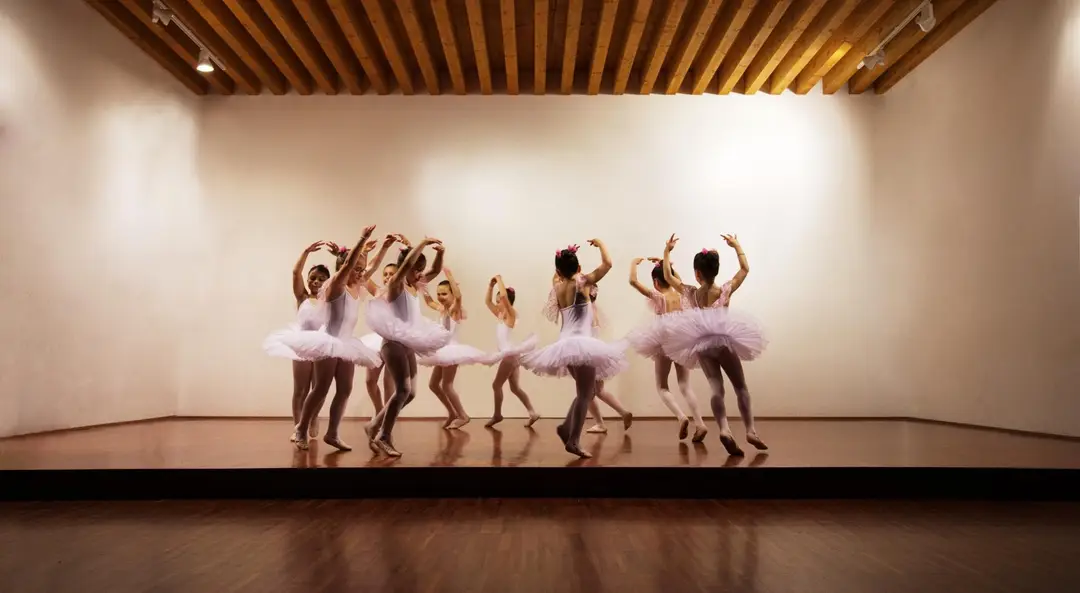 Two Sisters Dance Projects, Inc.