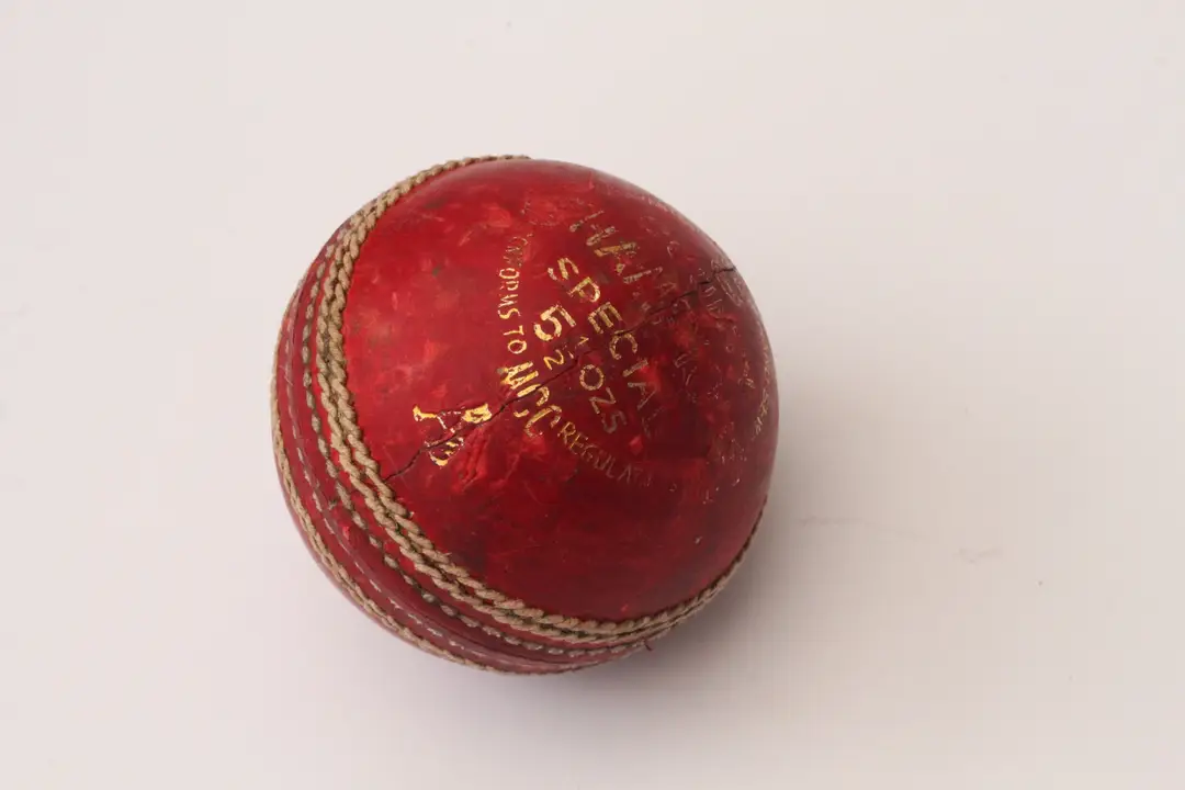 AE Cricket Academy