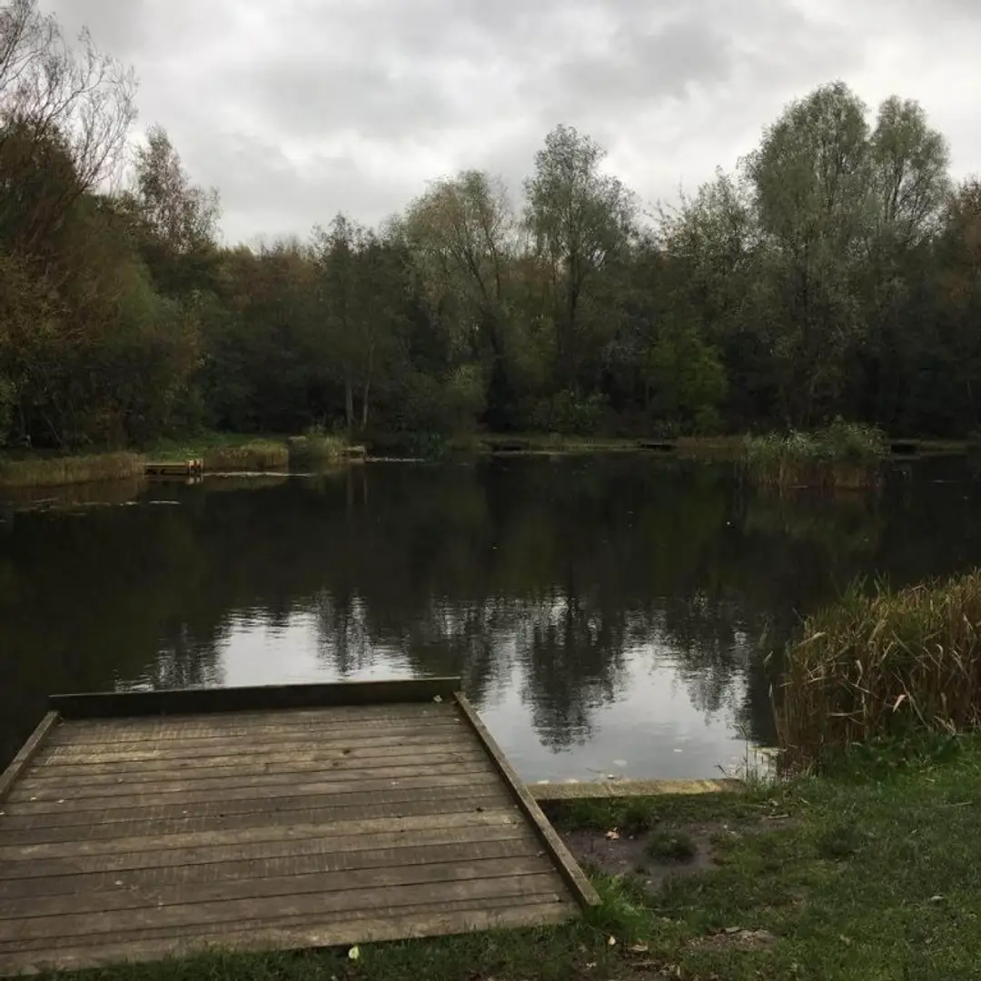 Tibshelf Ponds