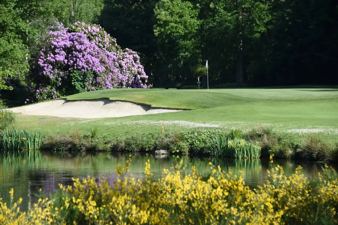 Golf Isabella