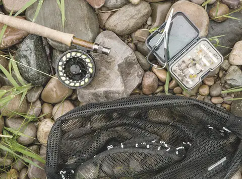 Fast Eddies Bait & Tackle