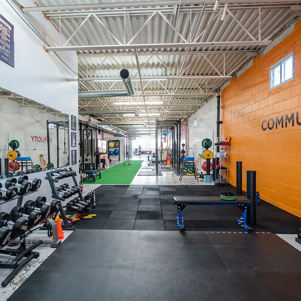 Iron Lion Training