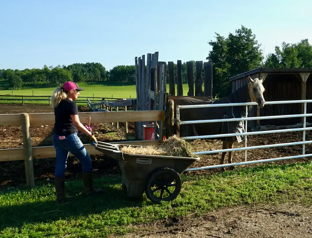 Brayco Stables
