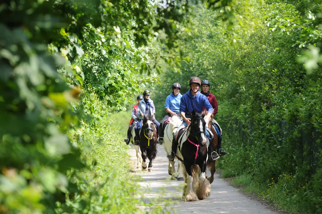 Hallagenna Riding