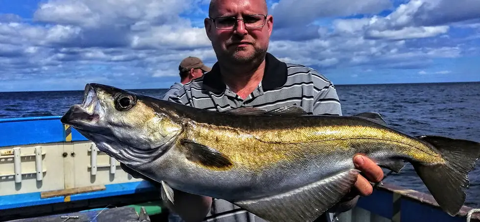 Skylark Fishing Trips