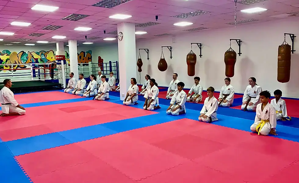Gateshead Karate Club (Kaizen)