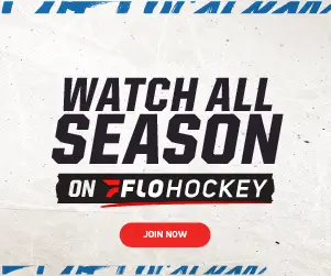 Vernon Vipers Hockey Club