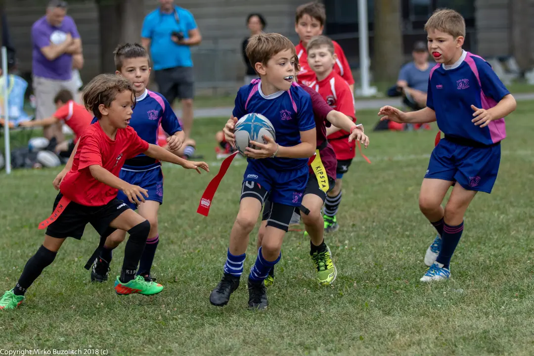 cole de Rugby les Gaulois