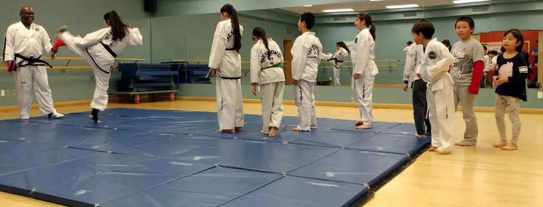 Etiennes International Taekwon-Do Academy