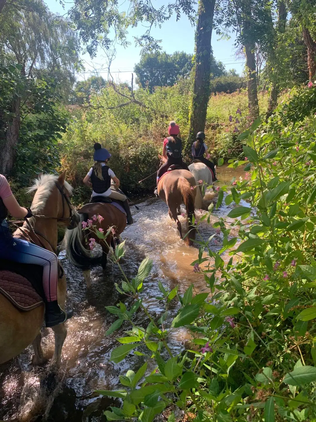 Drakes Farm Riding Centre