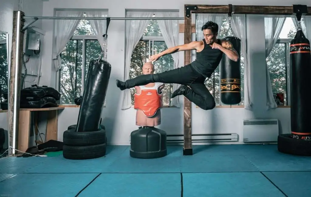 Fan Kickboxing Trainer