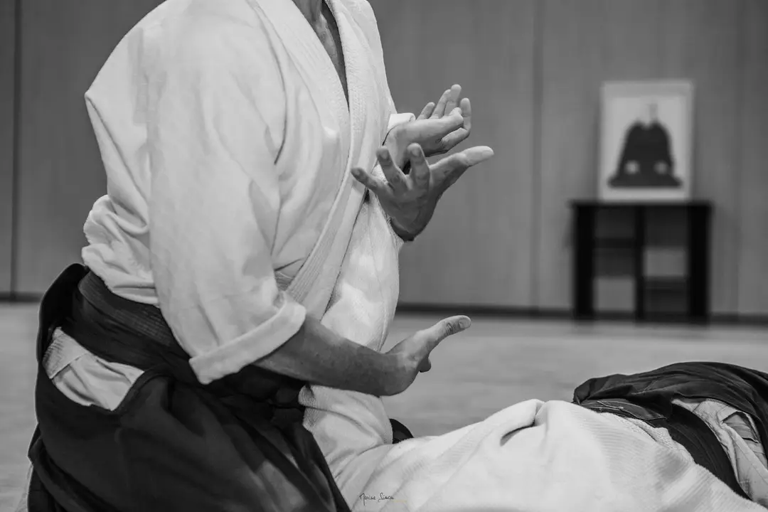 Blue Aikido