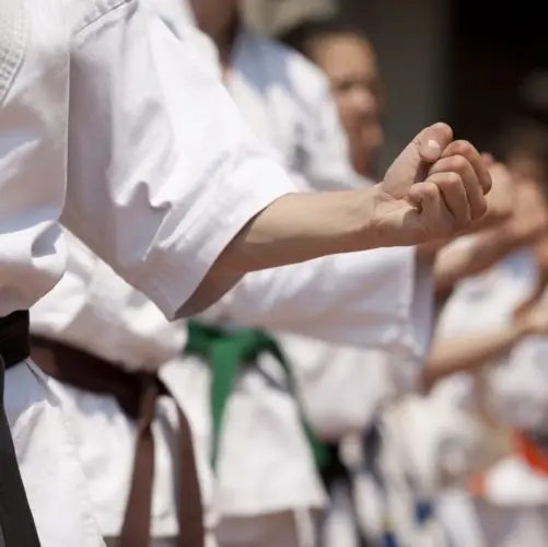 Panther Taekwondo Black Belt Academy Catford