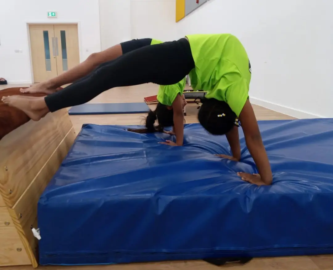 Zebra Sports Gymnastics