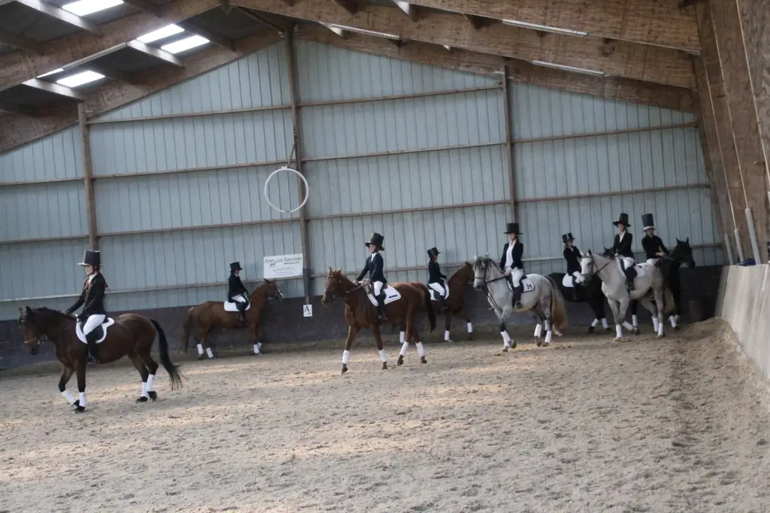 Centre Equestre Arche Equiloisirs