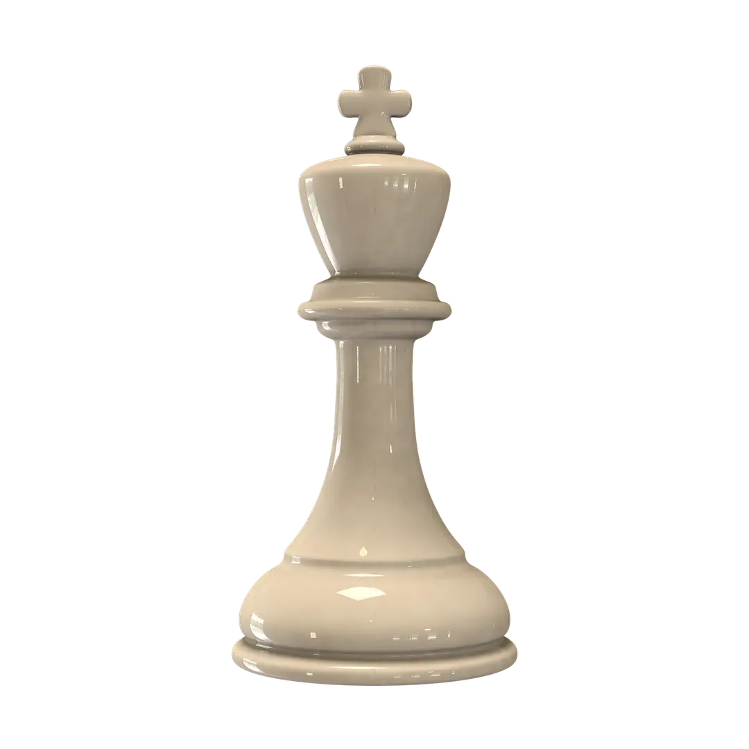 MAGNUM PROFESSIONAL CHESS ACADEMY