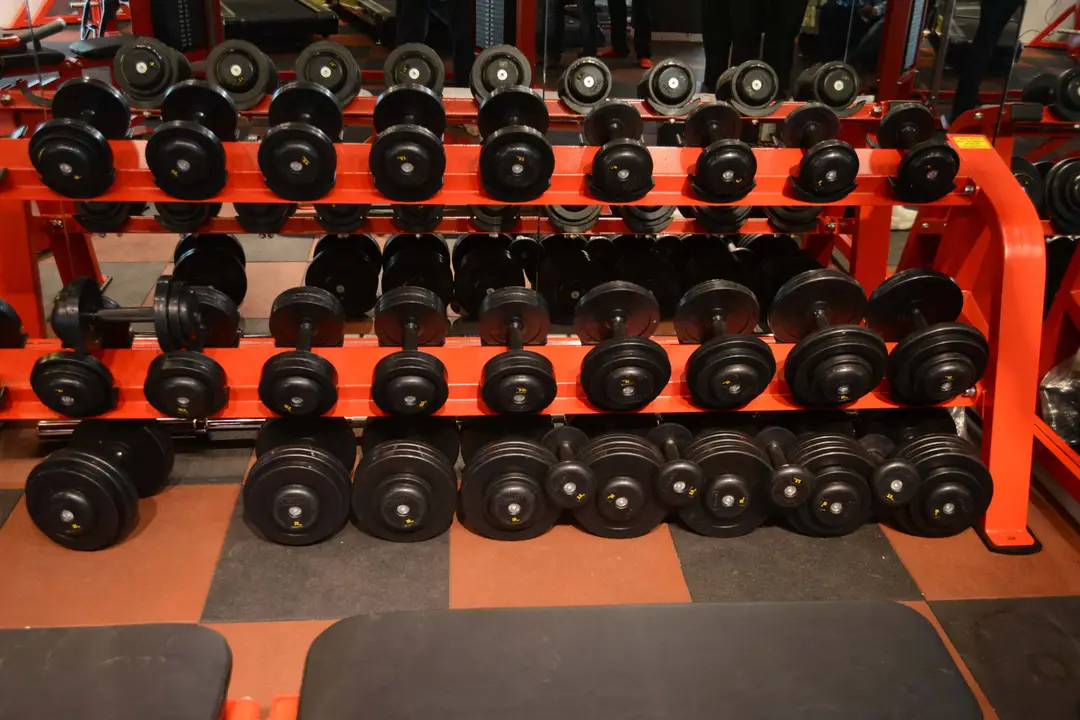 Sansare Fitness