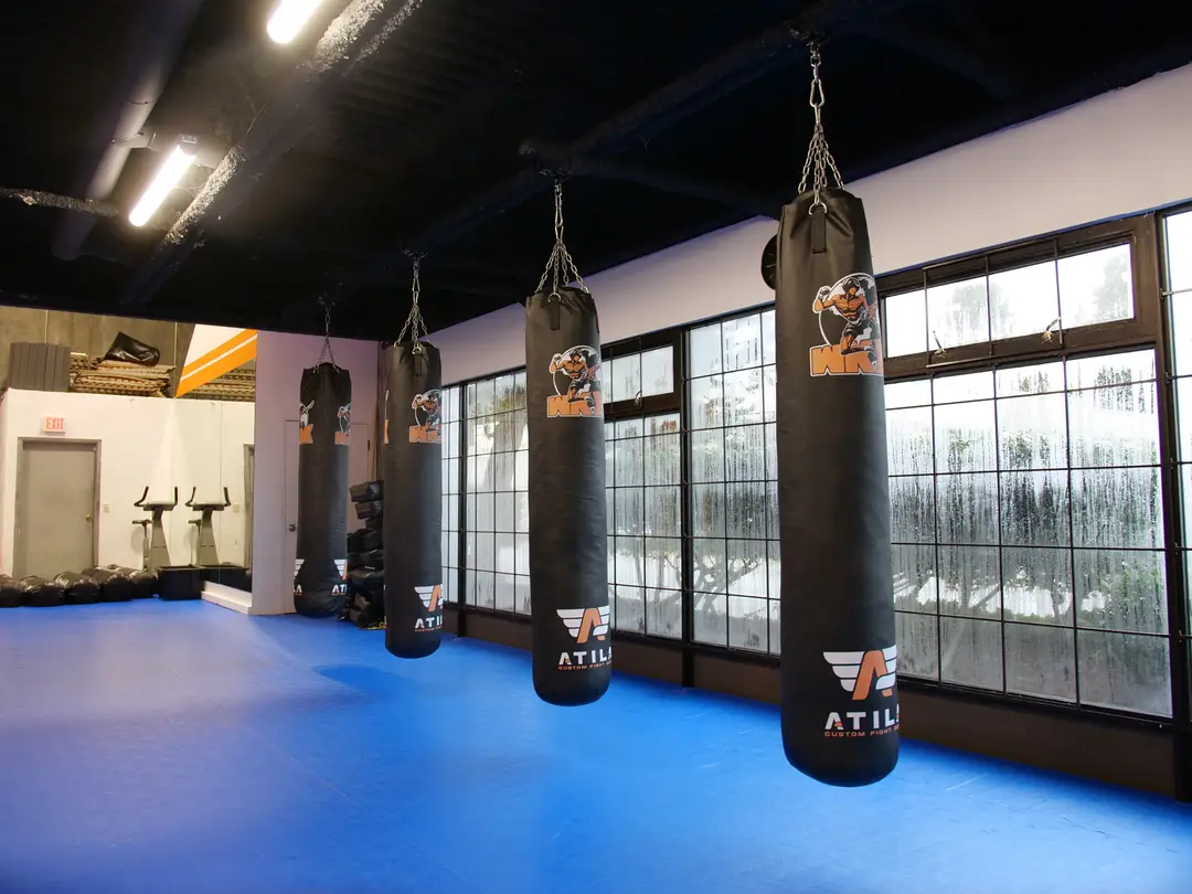 World Kickboxing Xtrm