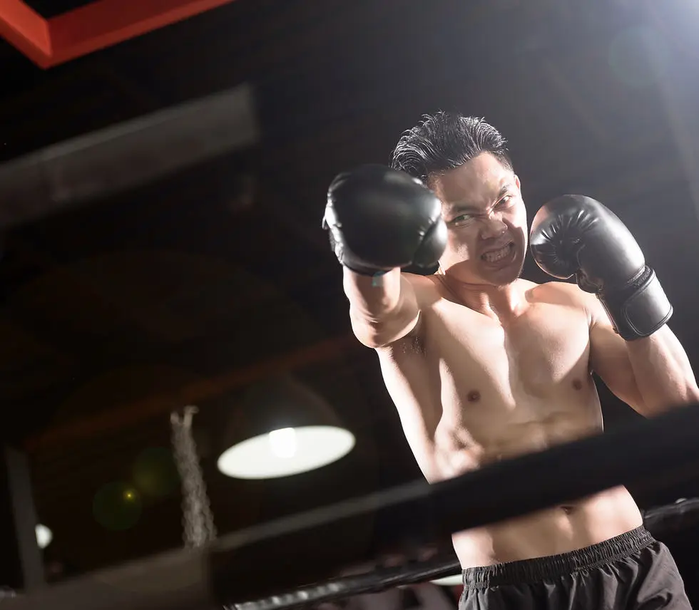 Invercargill fight centre Universal Vale Tudo