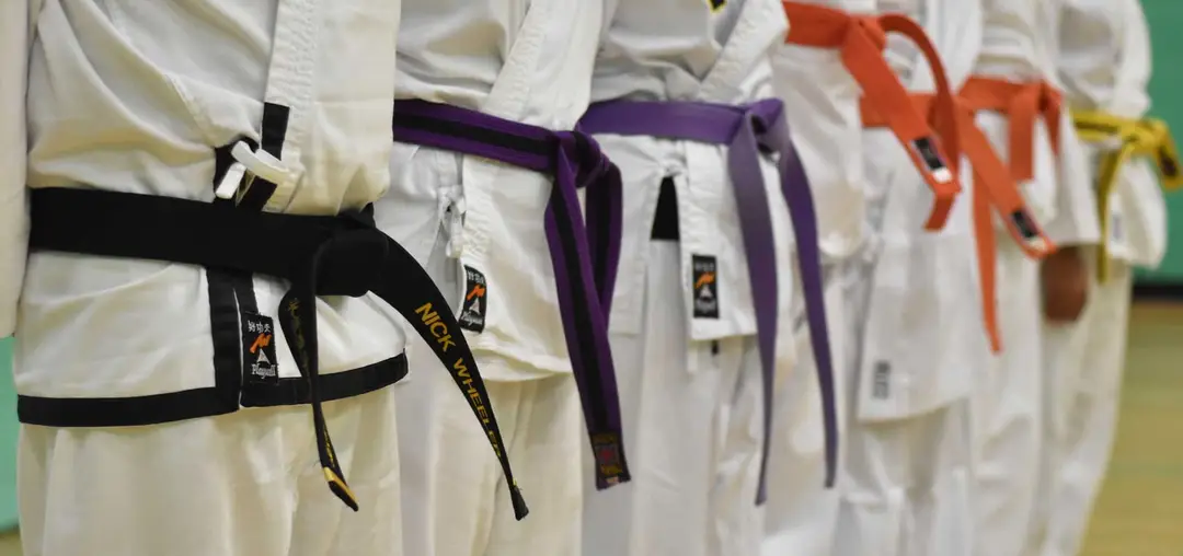 Winchester Choi Kwang Do Martial Art