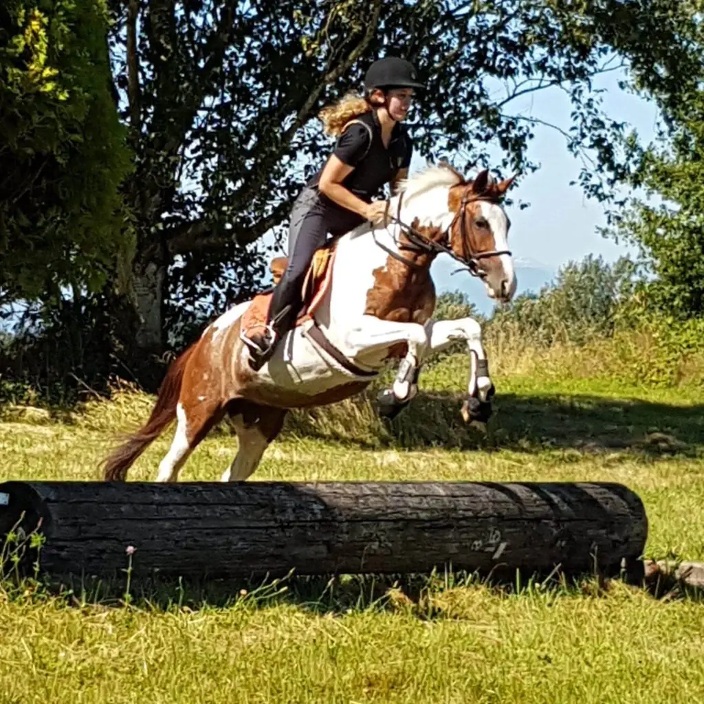 Sacred Equestrians