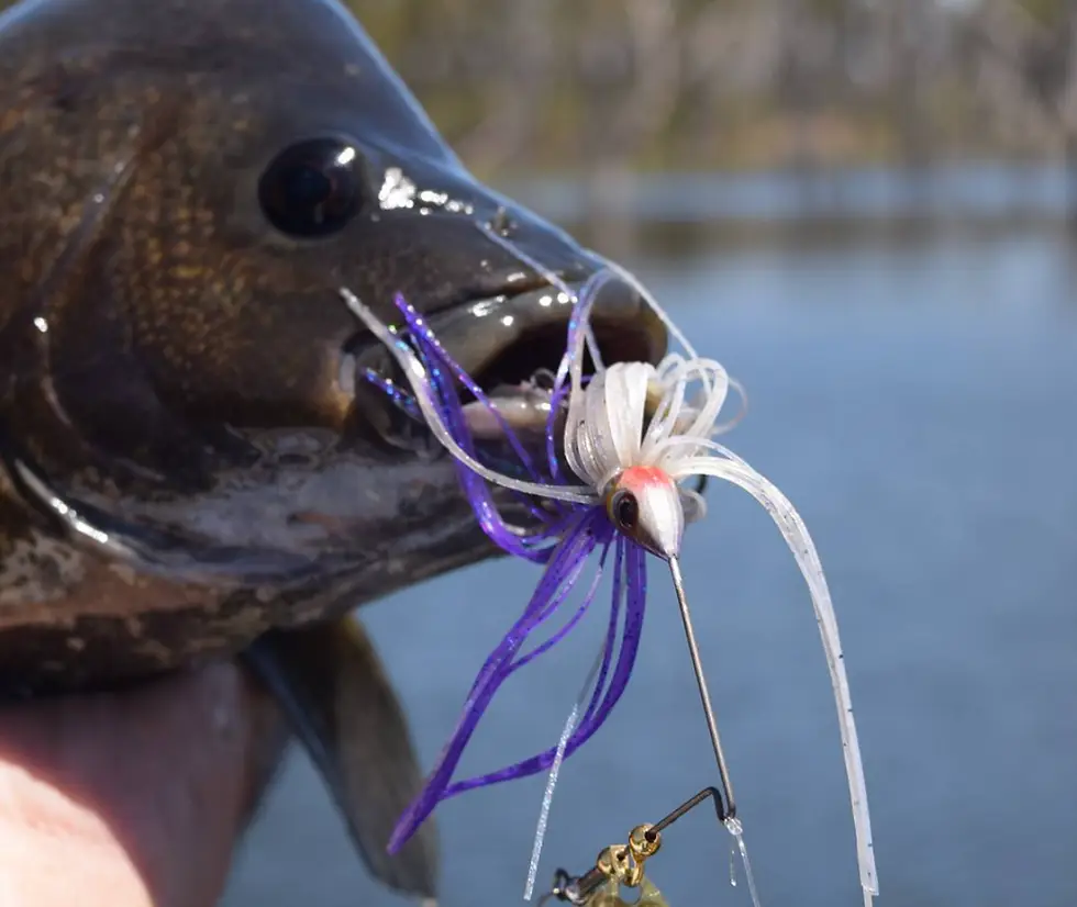 Mackay Fly & Sportfishing