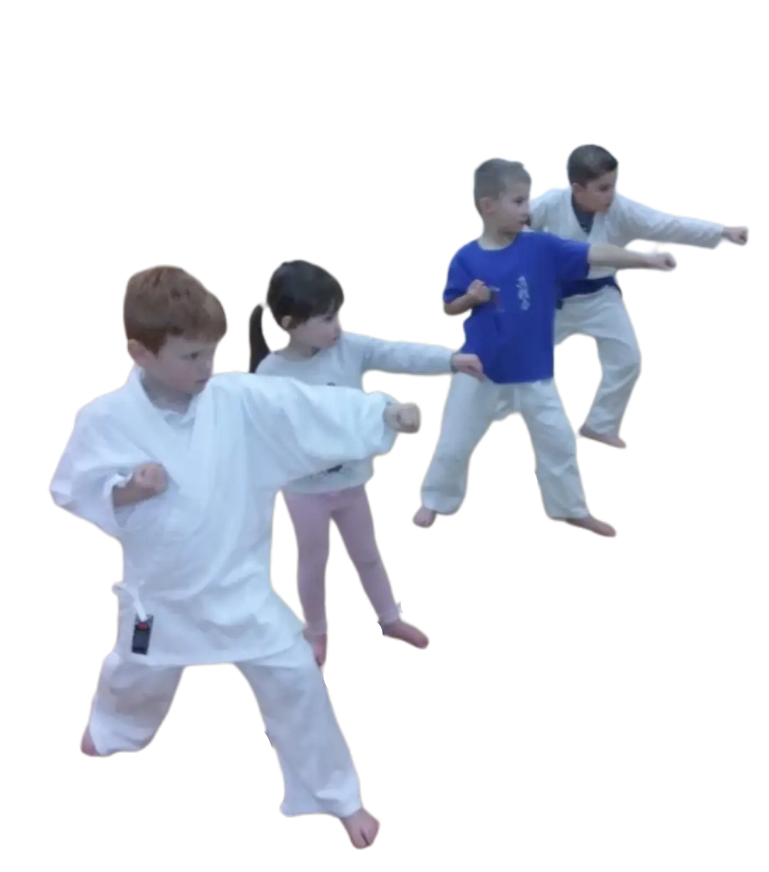 Full Contact Karate Concepts - Shinsenkai