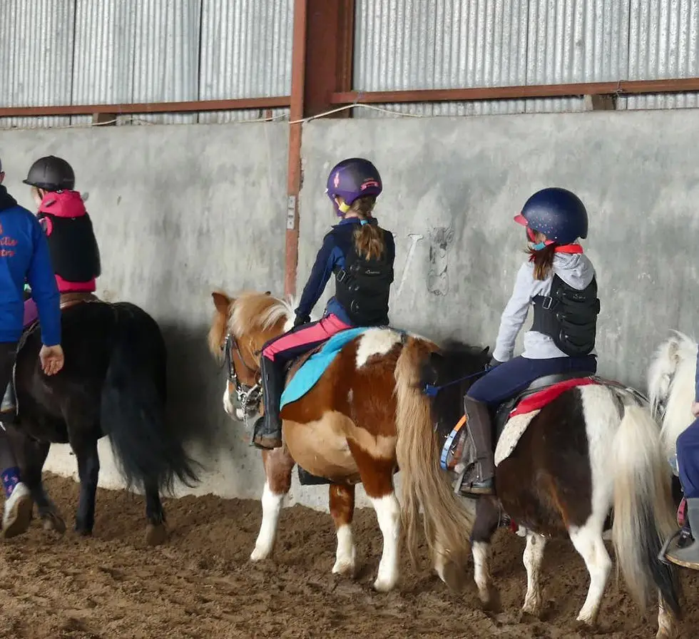 Ecurie Chauville Equestre