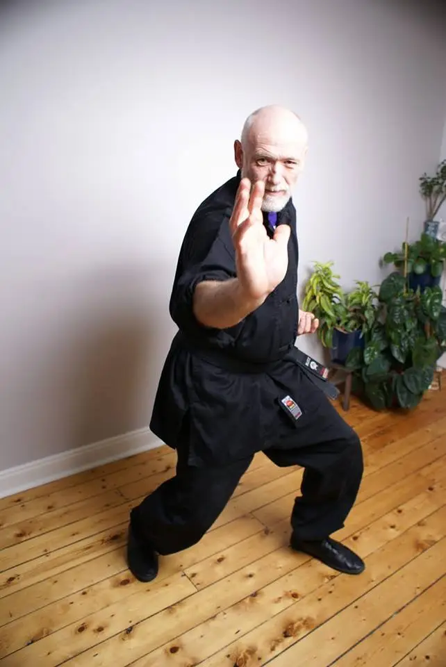 Kung Fusion