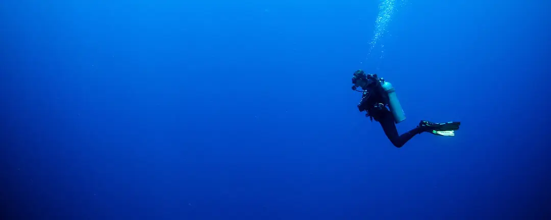 Dream Divers Ltd