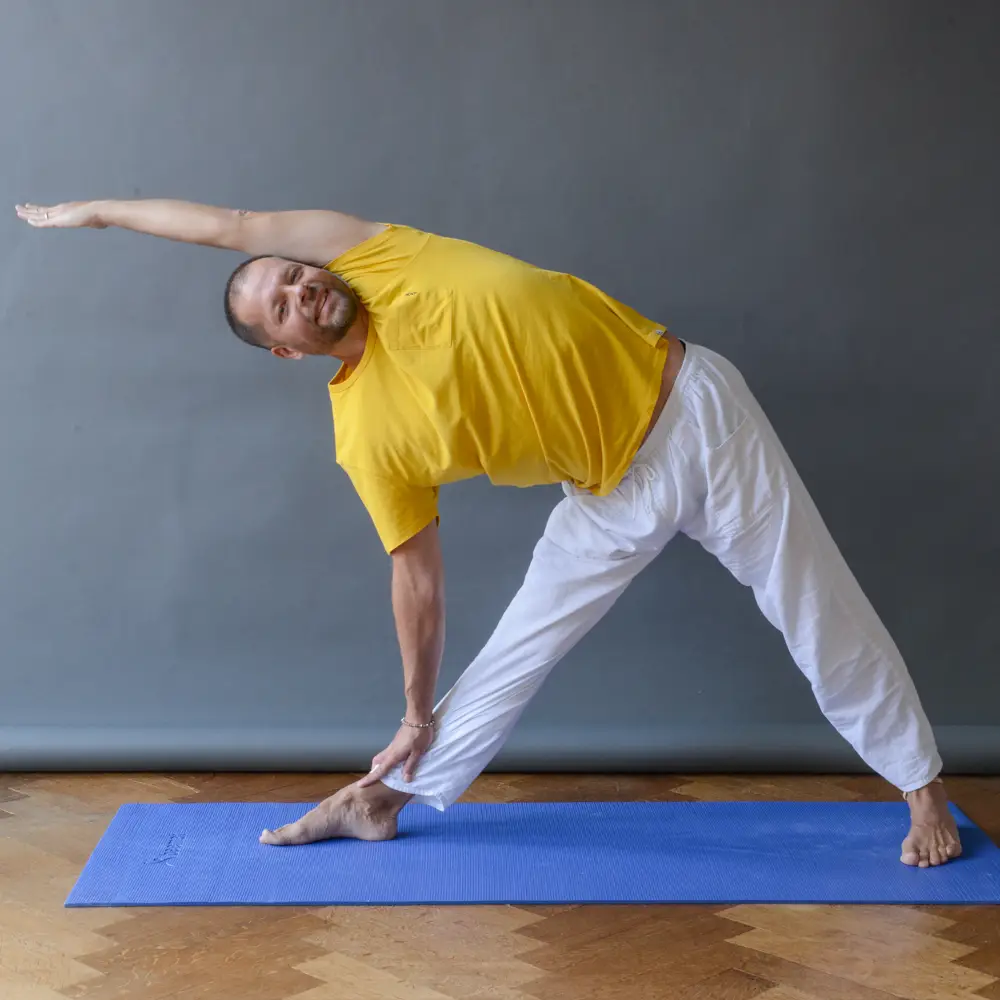 Yoga Palmeira