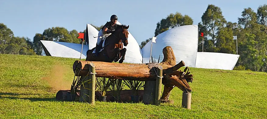 WADARI STABLES