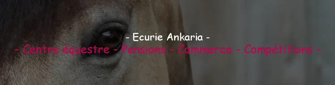 ECURIE D ANKARIA
