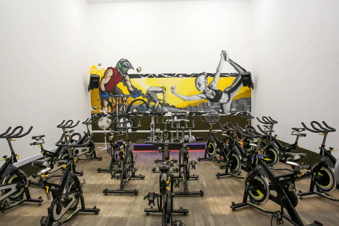 BS7 Gym