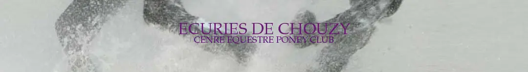 Les Ecuries De Chouzy